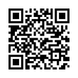 QR Code (код быстрого отклика)