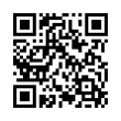 QR Code (код быстрого отклика)