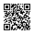 QR Code (код быстрого отклика)