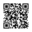 QR Code (код быстрого отклика)