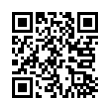 QR Code (код быстрого отклика)