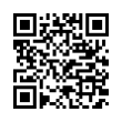 QR Code (код быстрого отклика)