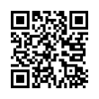 QR Code (код быстрого отклика)