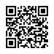 QR Code (код быстрого отклика)