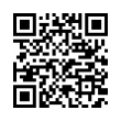 QR Code (код быстрого отклика)