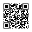 QR Code (код быстрого отклика)