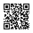 QR Code (код быстрого отклика)