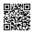 QR Code (код быстрого отклика)