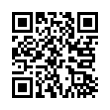 QR Code (код быстрого отклика)