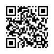 QR Code (код быстрого отклика)