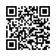 QR Code (код быстрого отклика)