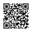 QR Code (код быстрого отклика)