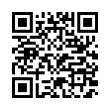 QR Code (код быстрого отклика)