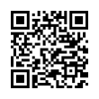 QR Code (код быстрого отклика)