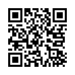 QR Code (код быстрого отклика)