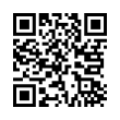 QR Code (код быстрого отклика)