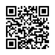 QR Code (код быстрого отклика)