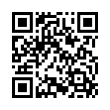 QR Code (код быстрого отклика)