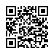 QR Code (код быстрого отклика)