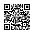 QR Code (код быстрого отклика)