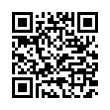 QR Code (код быстрого отклика)