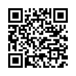 QR Code (код быстрого отклика)