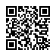 QR Code (код быстрого отклика)