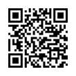 QR Code (код быстрого отклика)