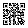 QR Code (код быстрого отклика)