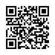 QR Code (код быстрого отклика)