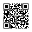 QR Code (код быстрого отклика)