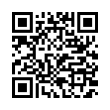 QR Code (код быстрого отклика)