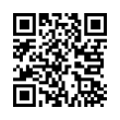 QR Code (код быстрого отклика)