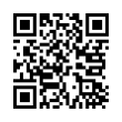 QR Code (код быстрого отклика)