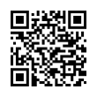 QR Code (код быстрого отклика)