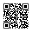 QR Code (код быстрого отклика)