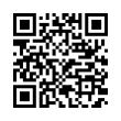 QR Code (код быстрого отклика)