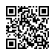 QR Code (код быстрого отклика)