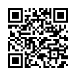 QR Code (код быстрого отклика)