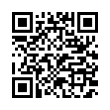 QR Code (код быстрого отклика)