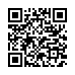 QR Code (код быстрого отклика)