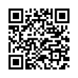 QR Code (код быстрого отклика)