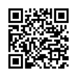 QR Code (код быстрого отклика)