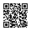 QR Code (код быстрого отклика)