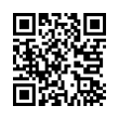 QR Code (код быстрого отклика)