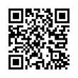 QR Code (код быстрого отклика)