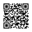 QR Code (код быстрого отклика)