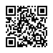 QR Code (код быстрого отклика)