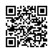 QR Code (код быстрого отклика)