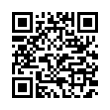 QR Code (код быстрого отклика)